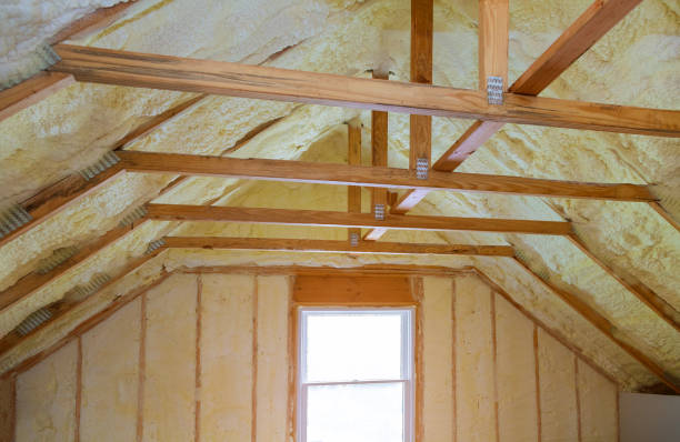 Best Crawl Space Insulation  in Walce Ridge, LA