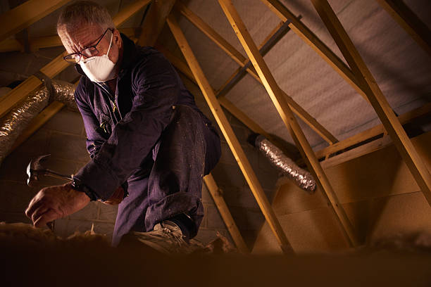 Best Professional Insulation Contractor  in Walce Ridge, LA